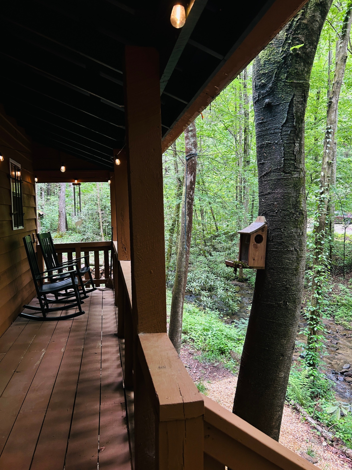 Covered porch with rocking chairs overlooking Holly Creek and the surrounding forest.